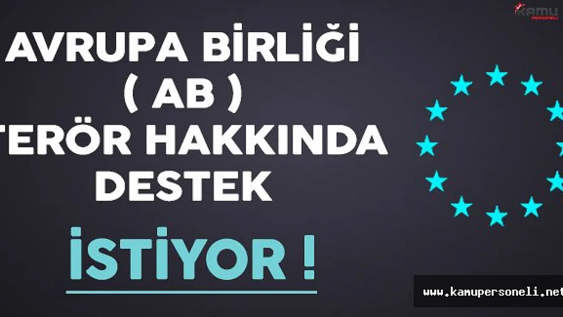 AB Terör Konusunda Destek İstiyor !