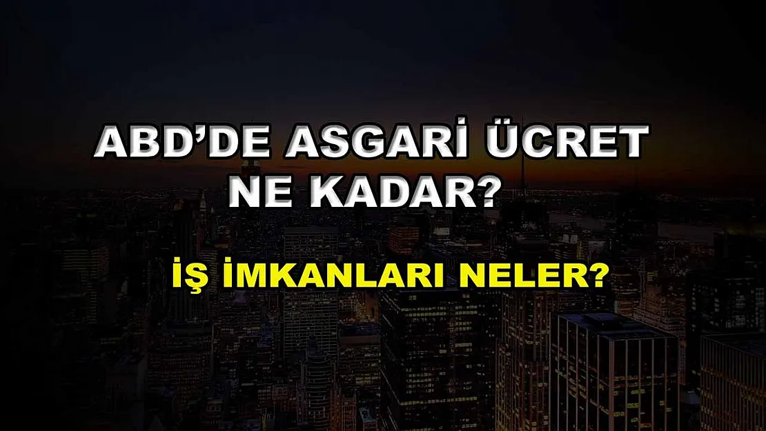ABD'de Asgari Ücret Ne Kadar? İş İmkanları Neler?