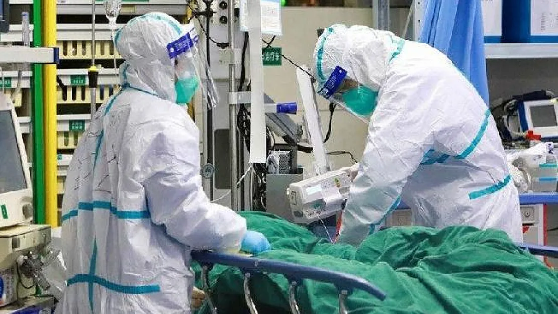 ABD'li Biyolog Açıkladı! Covid-19 Akciğerlere Ve Beyne Zarar Veriyor