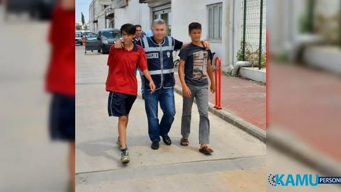 Adana'da hamile kediyi pitbull cinsi köpeğe parçalatan caniler adliyeye sevk edildirler