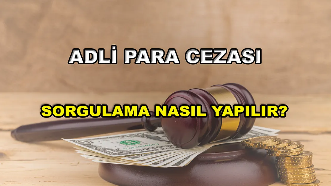 Adli Para Cezası Sorgulama Nasıl Yapılır?