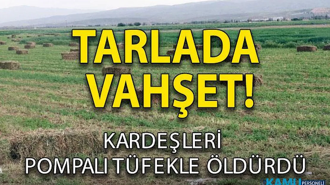 Afyonkarahisar'da cinayet! Tarlada 2 kardeşi tüfekle öldürdü