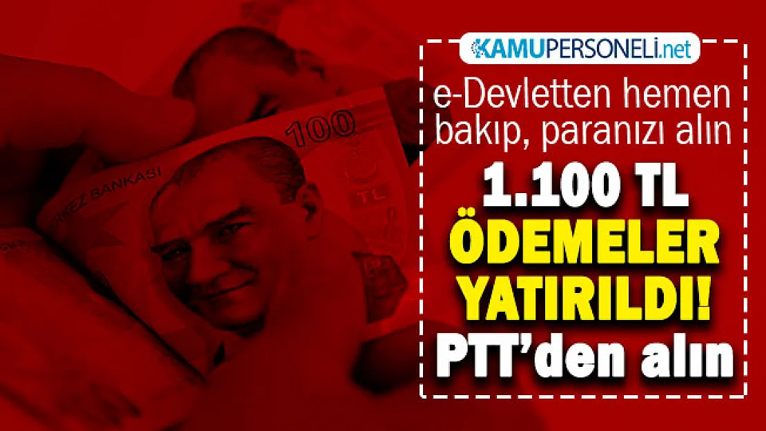 Aile Bakanlığı 1.100 TL destek ödemeleri resmen başladı! e-Devletten hemen bakın: Pazartesi günü paranızı PTT'den alın