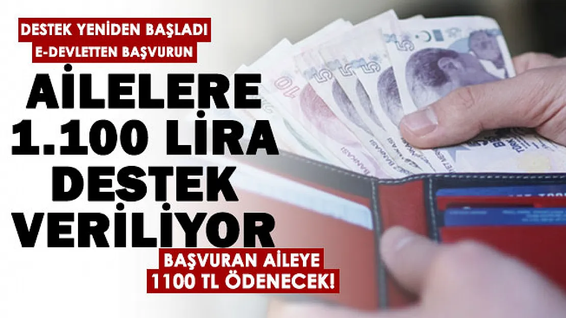 Aile Bakanlığı hanelere 1.100 TL pandemi sosyal yardım başvuruları e-Devletten başladı! Başvuru yapan aileye 1.100 TL destek veriliyor