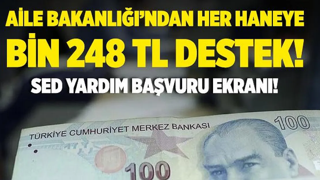 Aile Çalışma ve Sosyal Hizmetler Bakanlığı her aileye bin 248 TL destek veriyor! SED yardım başvurusu nasıl yapılır?