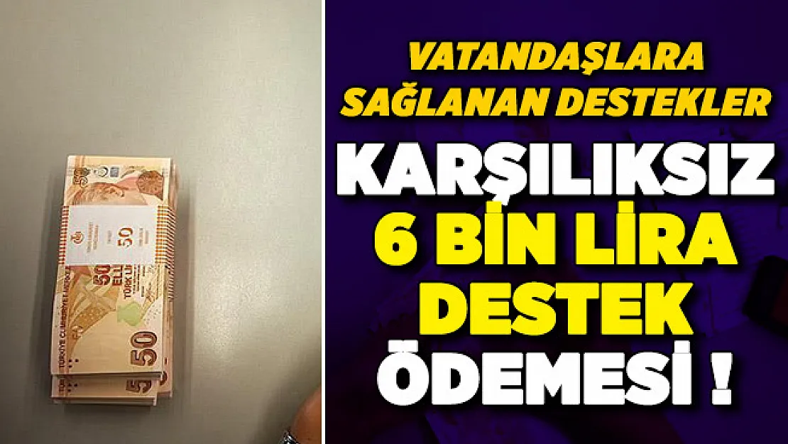 Aile Çalışma ve Sosyal Hizmetler Bakanlığından vatandaşlara verilen destekler! Karşılıksız 6 bin lira verilecek