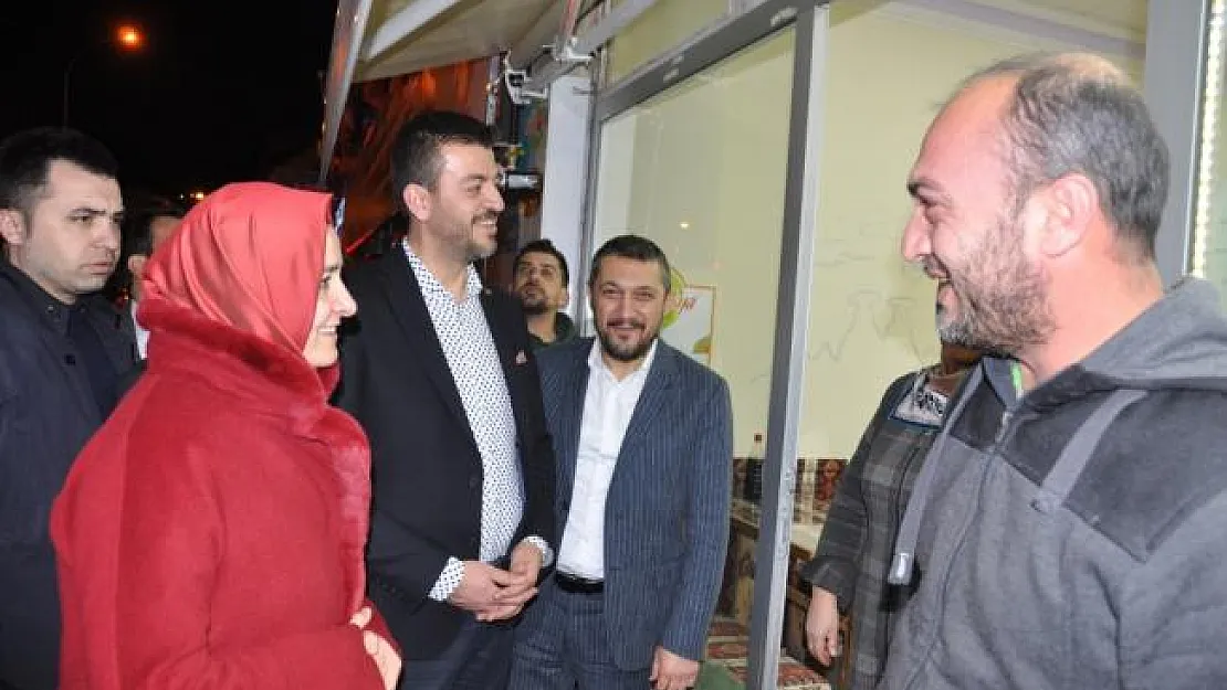 AK Parti Genel Başkan Yardımcısı Kaya Nevşehir'de