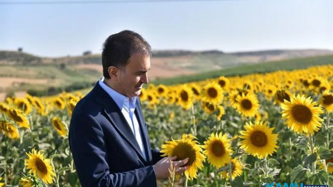 AK Parti Sözcüsü Ömer Çelik'ten Dikkat Çeken İmamoğlu Paylaşımı!