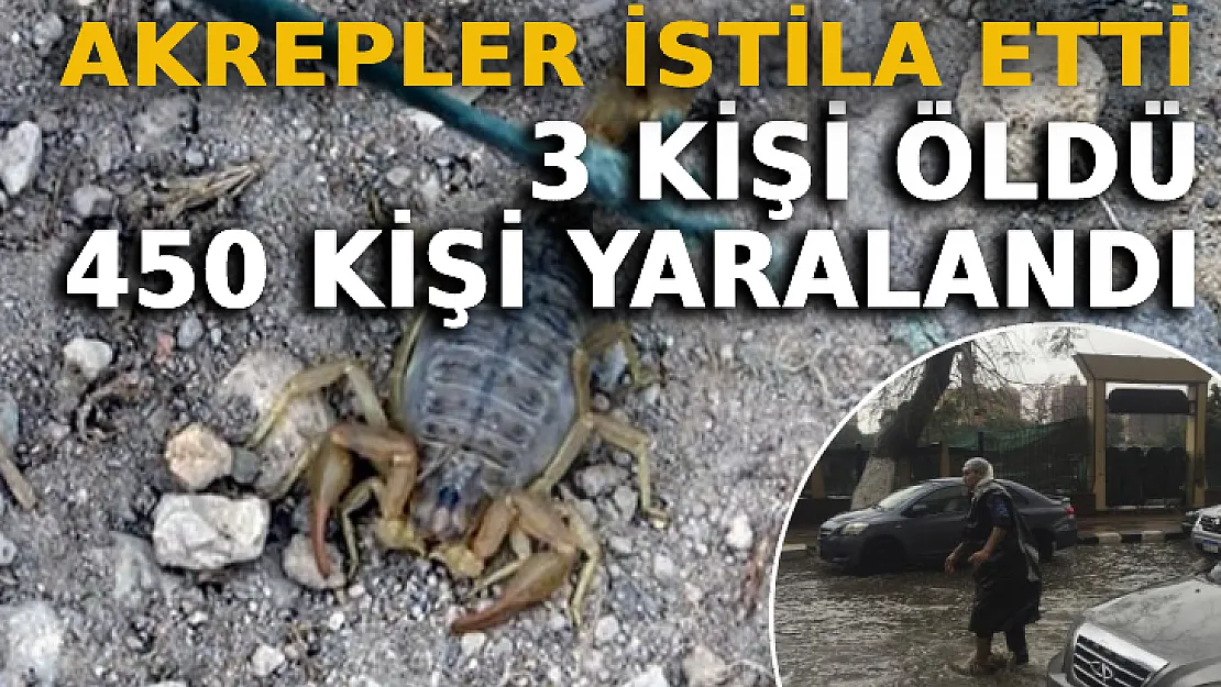 Akrepler İstila Etti: 3 Kişi Öldü, 450 Kişi Yaralandı