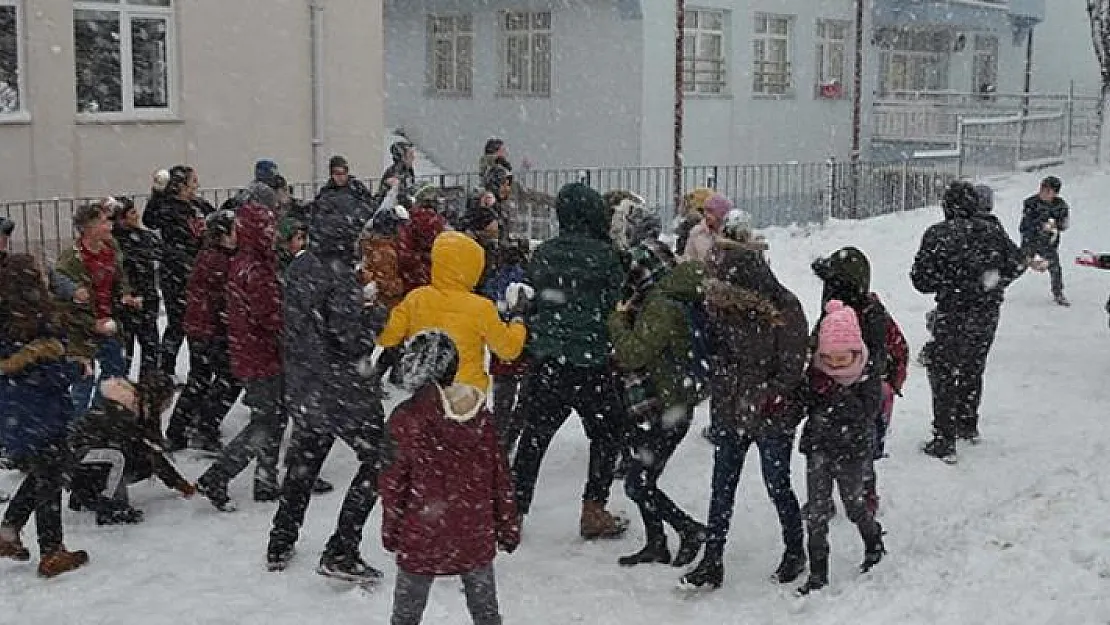 Aksaray, Kastamonu, Ordu ve Bursa'da okullar tatil edildi