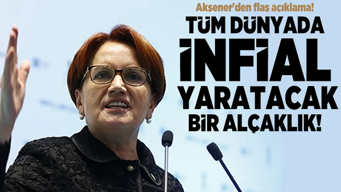 Akşener'den flaş açıklama! Tüm dünyada infial yaratacak bir alçaklık!