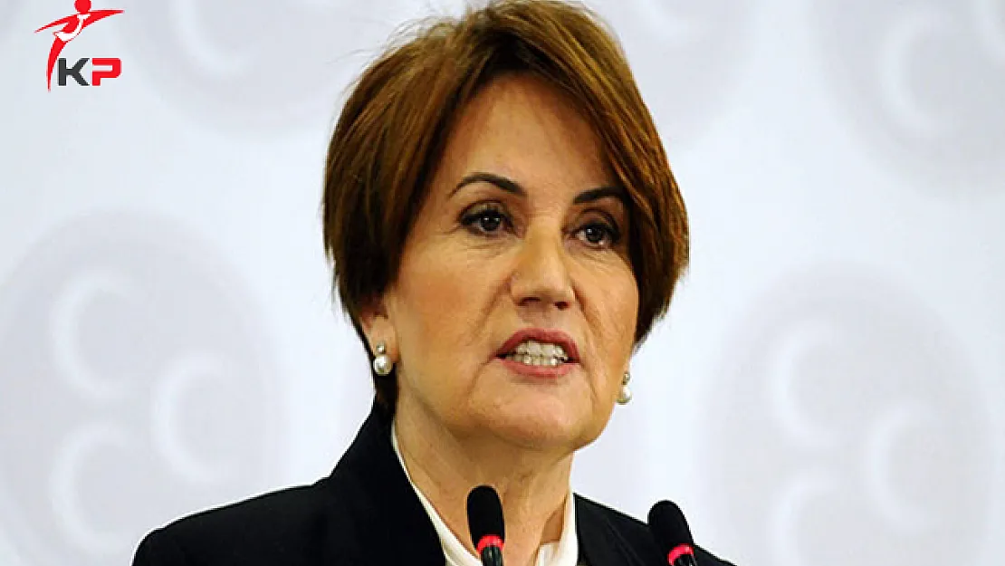 Akşener'in Yeni Partisine 'Bozkurt' ve 'Başbuğ' Yasağı