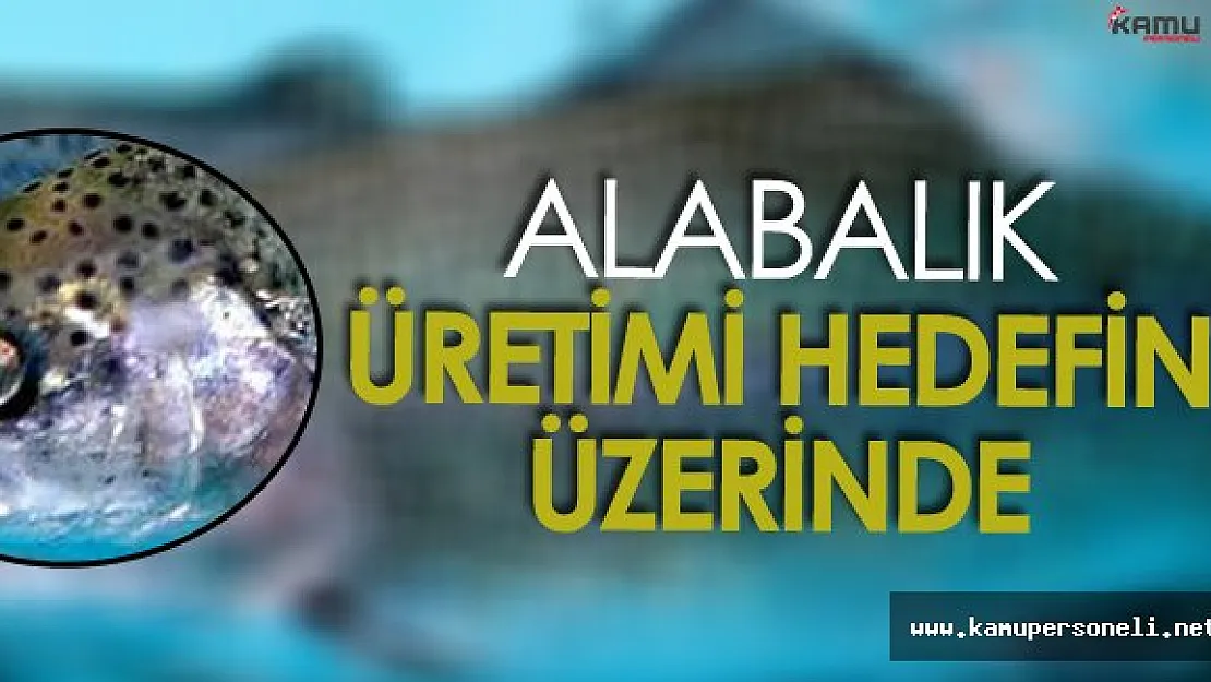 Alabalık Üretiminde Hedefin Üzerine Çıkıldı