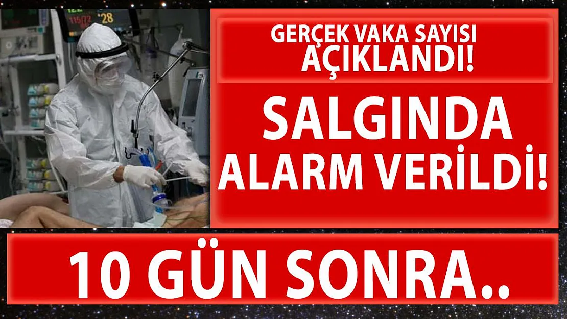 Alarm verildi! Uzmanlar gerçek vaka sayısını açıkladı!
