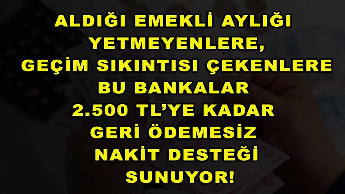 Aldığı emekli aylığı yetmeyenlere, geçim sıkıntısı çekenlere bu bankalar 2.500 TL'ye kadar geri ödemesiz nakit desteği sunuyor!