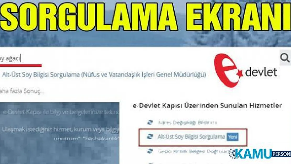 Alt Üst Soy Bilgisi Sorgulama Nasıl Yapılır? E-Devlet Soy Bilgisi Sorgulama Ekranı