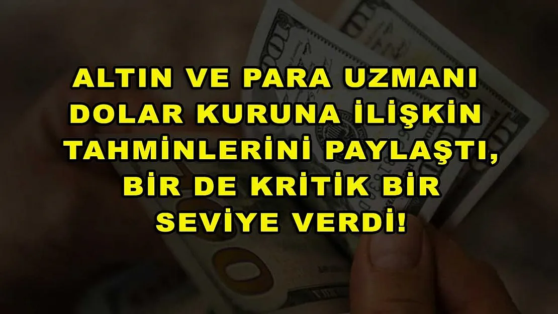 Altın ve Para Uzmanı dolar kuruna ilişkin tahminlerini paylaştı, bir de kritik bir seviye verdi!