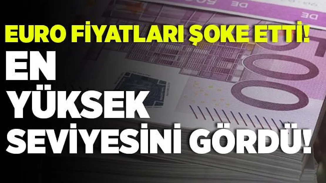 Altından sonra bir rekor da Euro'dan geldi! En yüksek seviyesine ulaştı!