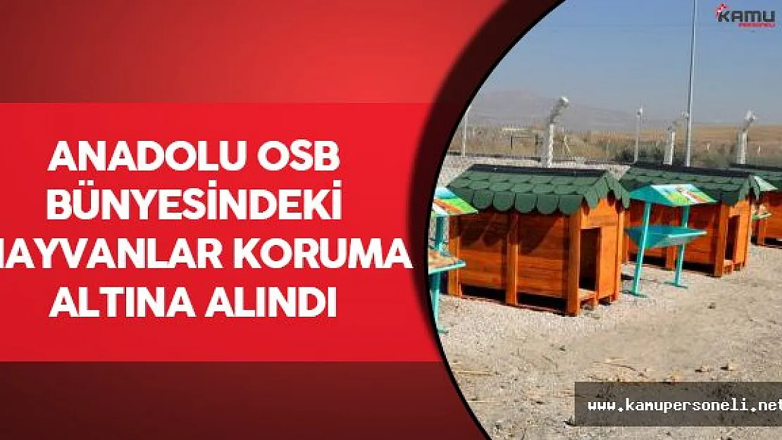 Anadolu OSB Bünyesindeki Hayvanlar Koruma Altına Alındı
