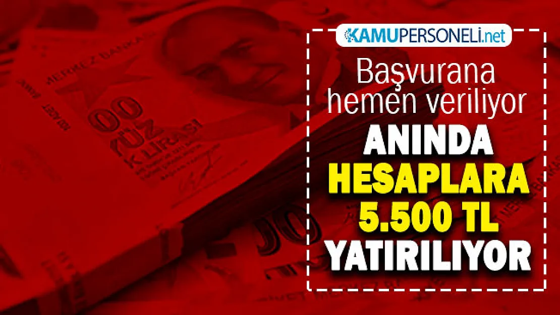 Anında hesaplara 5.500 TL veriliyor! Kimlik numarası ile akıllı telefonundan başvuran bugün parasını alabilecek!