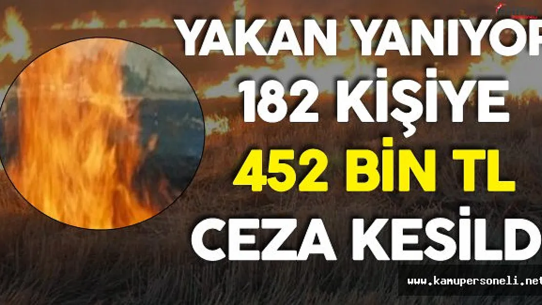 Anız Yakan Çiftçilere Bir Kötü Haber Daha !