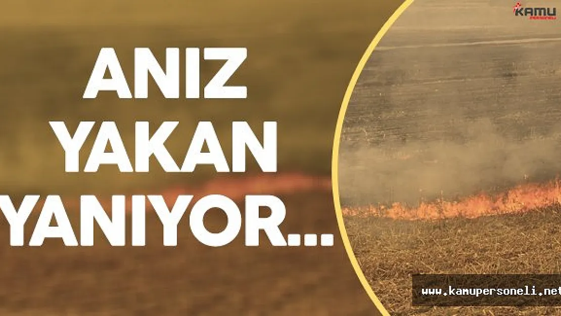 Anız Yakan Çiftçilere Ceza Yağıyor