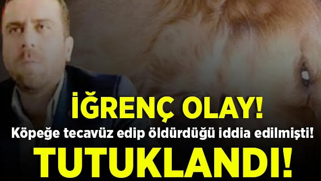 Ankara'da iğrenç olay! Köpeğe tecavüz edip, öldürdüğü iddia edilen Volkan Uzun tutuklandı!