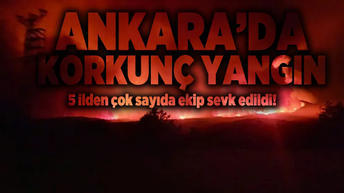 Ankara'da korkunç yangın! 5 ilden çok sayıda ekip sevk edildi!