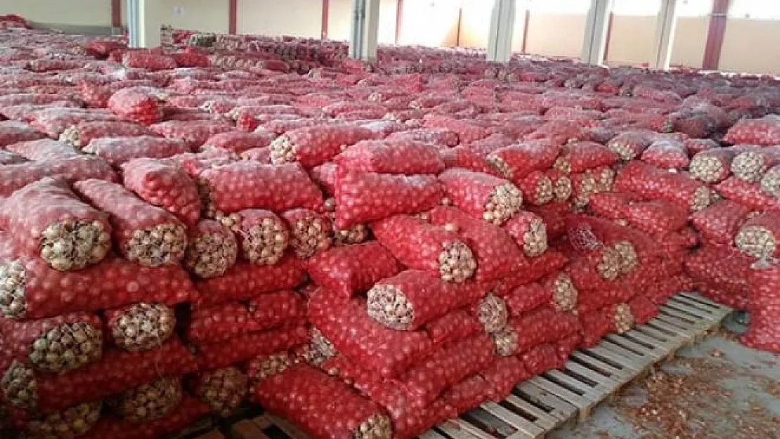 Ankara'nın Gölbaşı ilçesinde bin 300 ton soğan baskını