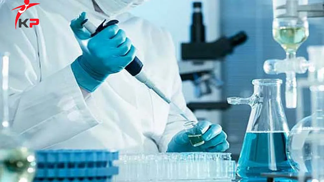 AÖF Laborant ve Veteriner Sağlık Bölümü Hakkında Bilgi