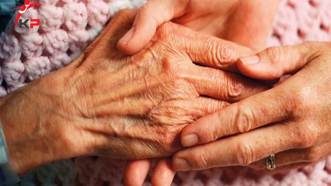 AÖF Sosyal Hizmetler Bölümü Detayları ve İş Olanakları