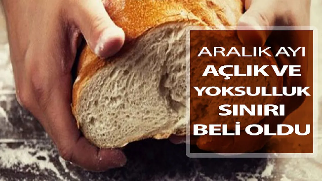 Aralık Ayı Açlık ve Yoksulluk Sınırı Belli Oldu