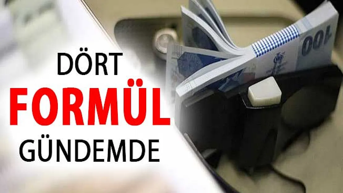 Asgari Ücret İçin 4 Formül Gündeme Geldi ! 2019'da Asgari Ücret Ne Kadar Olacak?