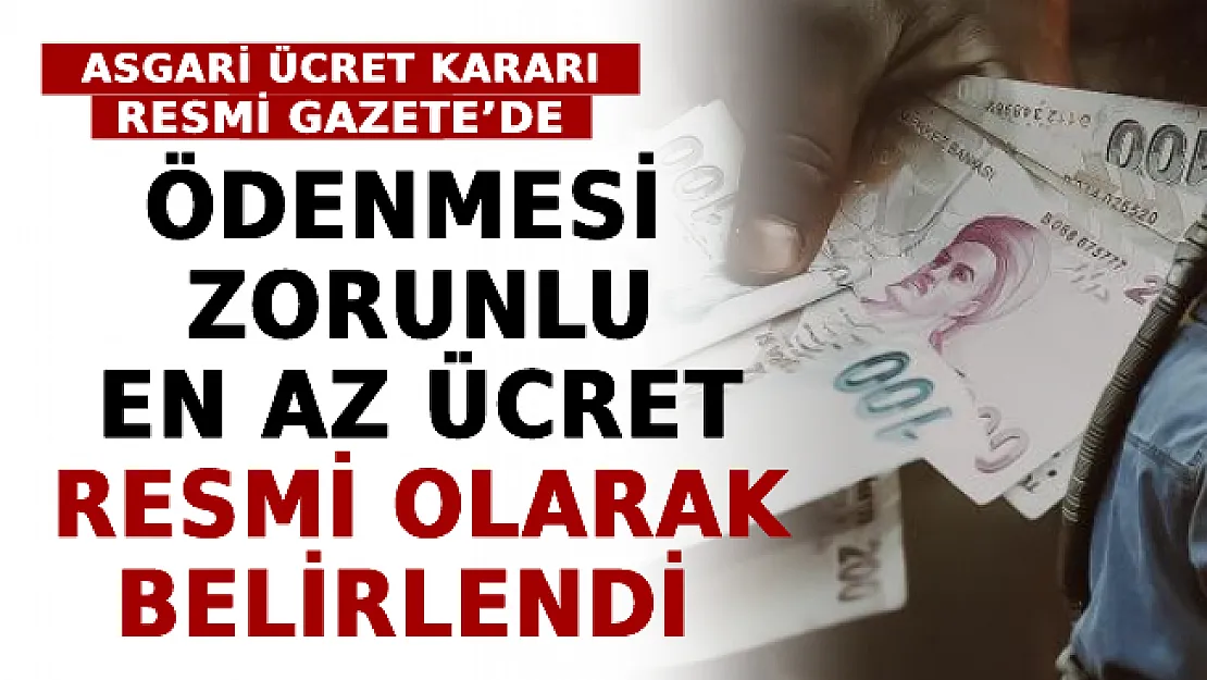 Asgari Ücret Kararı Resmi Gazete'de Yayımlandı: Ödenmesi Zorunlu En Az Ücret Resmi Olarak Belirlendi