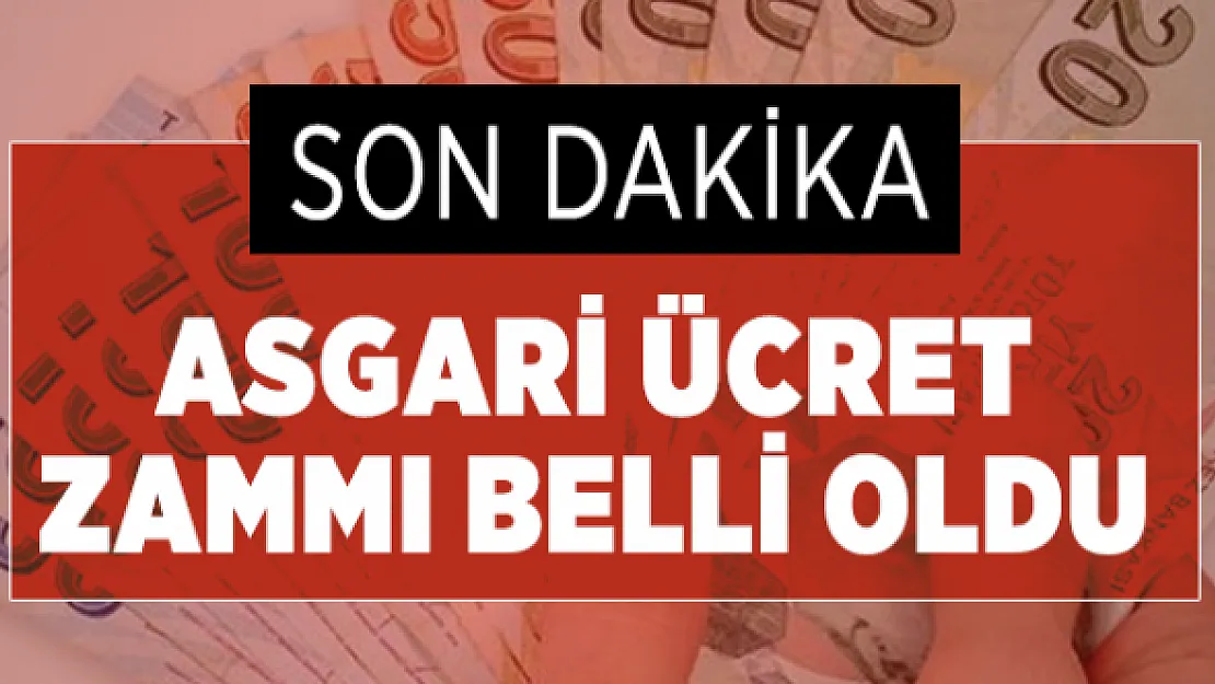 Asgari ücret zammı belli oldu! 2020 asgari ücret açıklandı