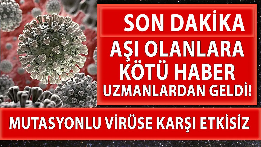 Aşı olanlara kötü haber uzmanlardan geldi! Yapılan korona aşıları mutasyonlu virüse karşı ne kadar etkili?