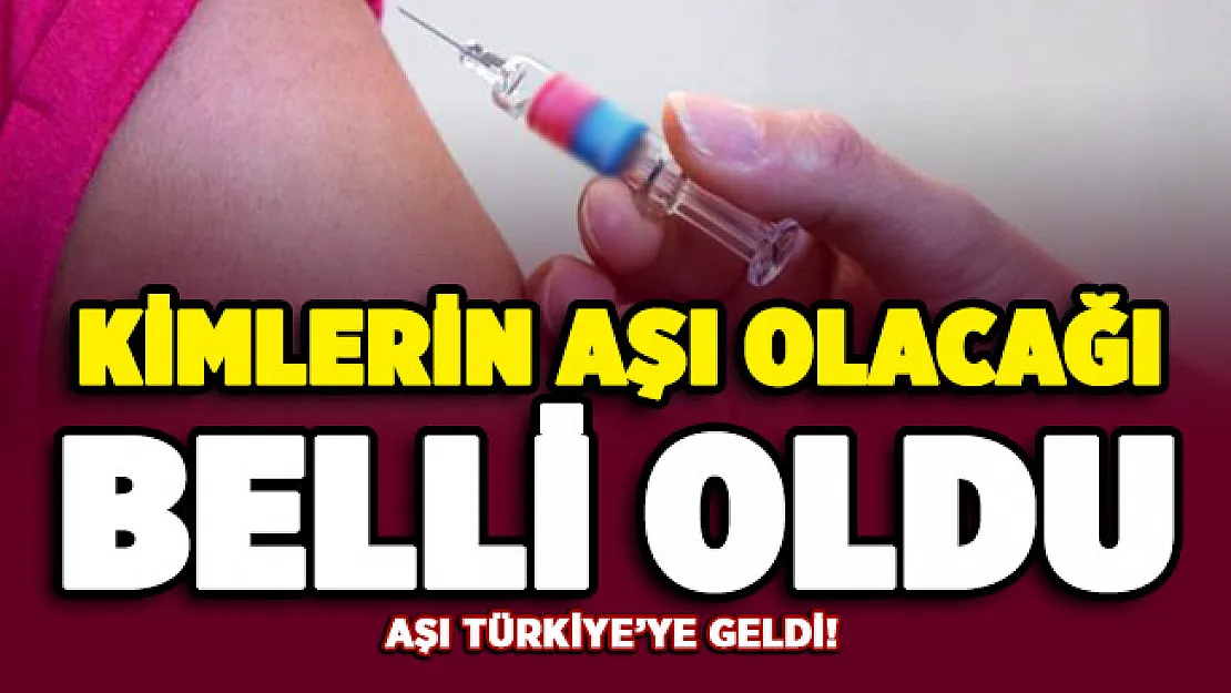 Aşı Türkiye'ye geldi! Aşı olacak kişiler resmen belli oldu