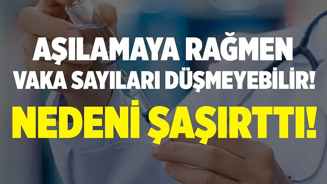 Aşılar yapılsada vaka sayıları azalmayabilir! Nedeni açıklandı!