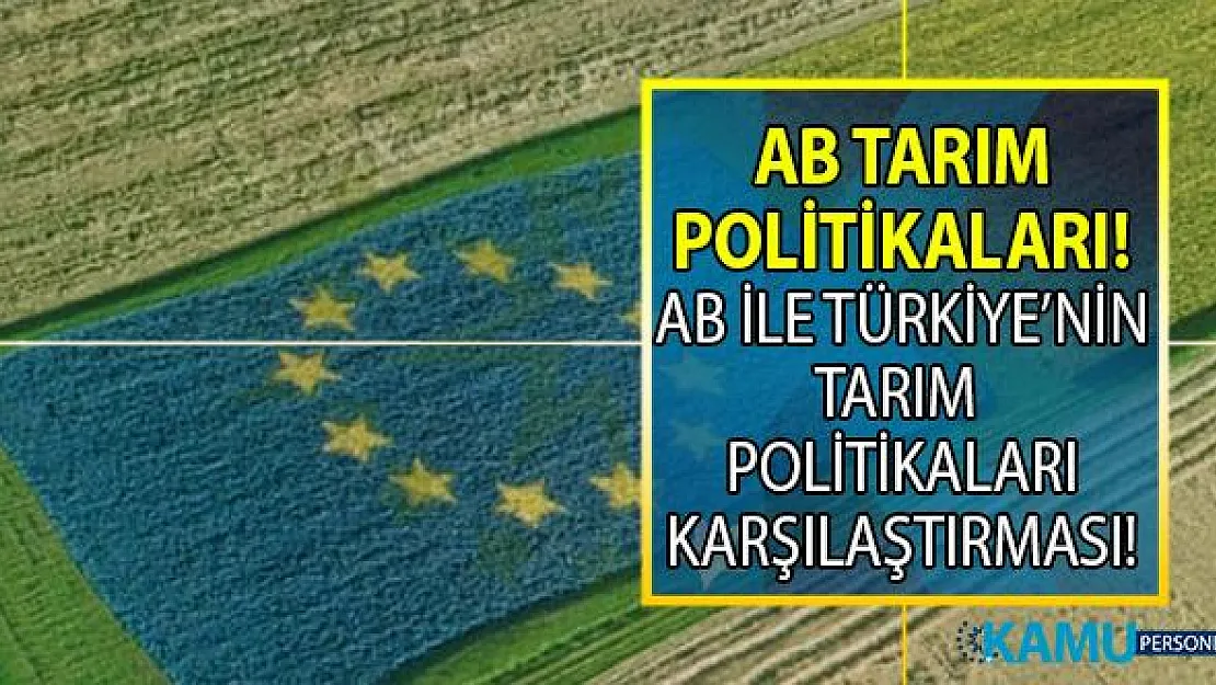 Avrupa Birliği'nde (AB) tarımsal yapı, tarımsal üretim ve tarım politikaları! Türkiye ve AB'nin tarım karşılaştırması