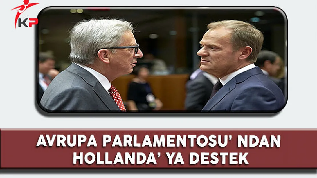 Avrupa Parlamentosu' ndan Hollanda' ya Destek
