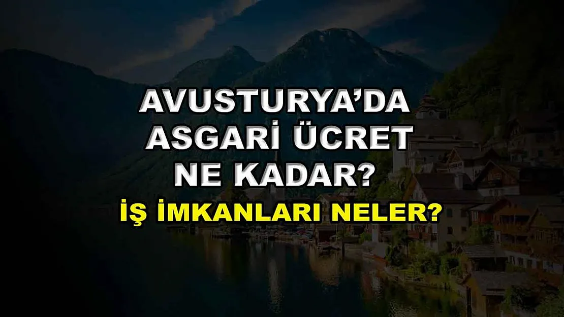 Avusturya'da Asgari Ücret Ne Kadar? İş İmkanları Neler?