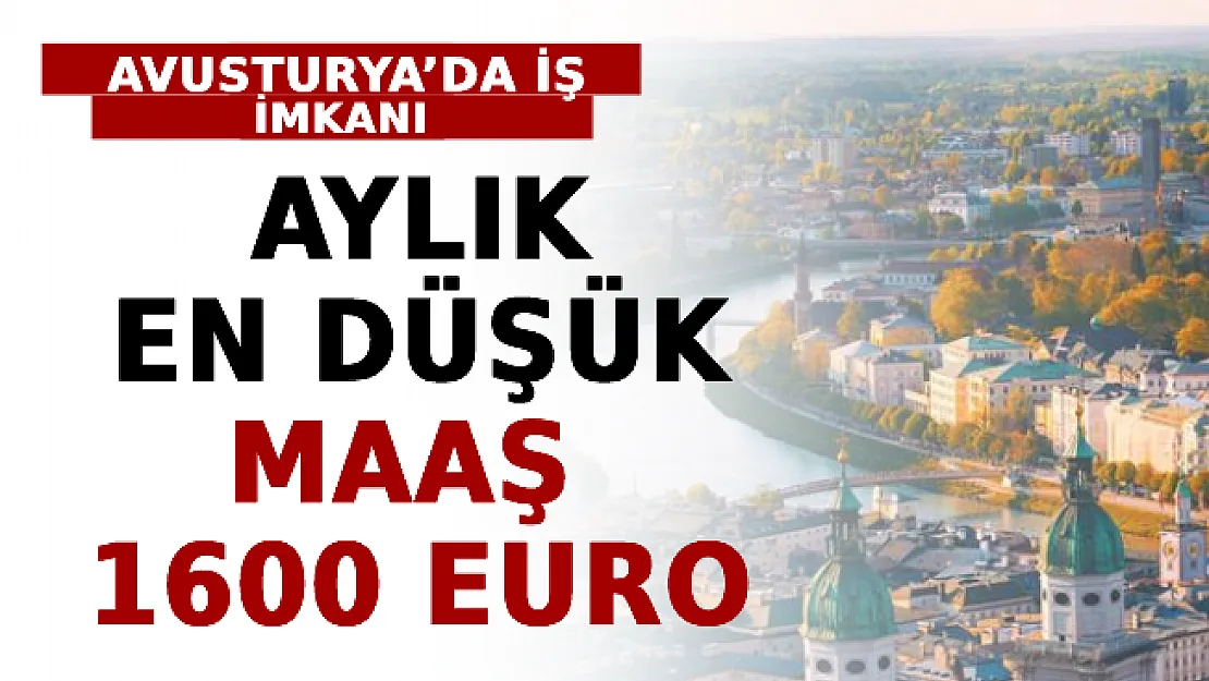Avusturya'da İş İmkanı: Aylık En Düşük Maaş 1600 Euro