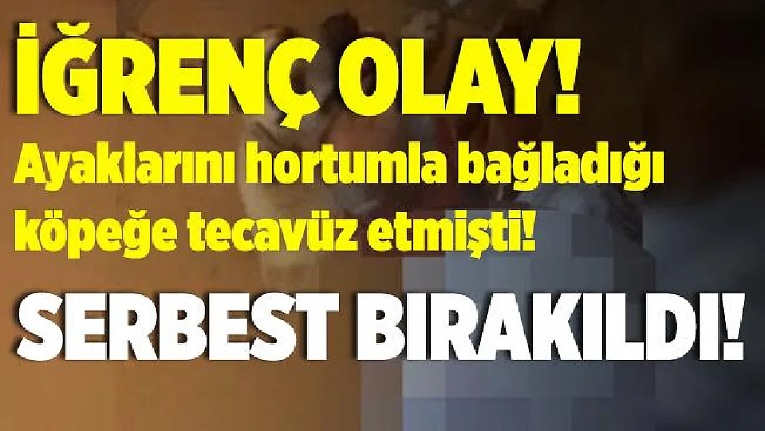 Ayaklarını hortumla bağladığı köpeğe tecavüz etmişti! Para cezasıyla serbest kaldı!