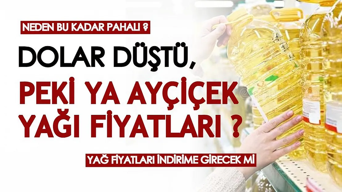 Ayçiçek yağı fiyatları neden bu kadar pahalı? Doların düşüşünün ayçiçek yağı fiyatlarına etkisi...