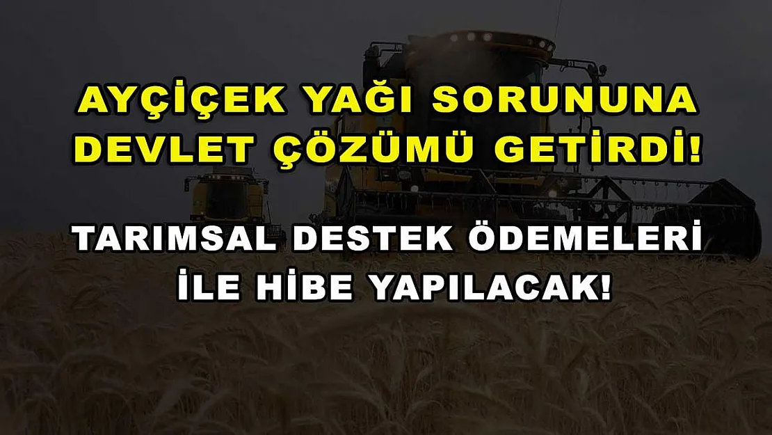 Ayçiçek yağı sorununa devlet çözümü getirdi! Tarımsal destek ödemeleri ile hibe yapılacak!