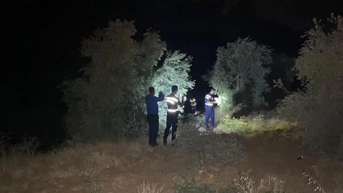 Aydın'da korkunç ölümlü kaza! 80 metreden aşağı uçtu