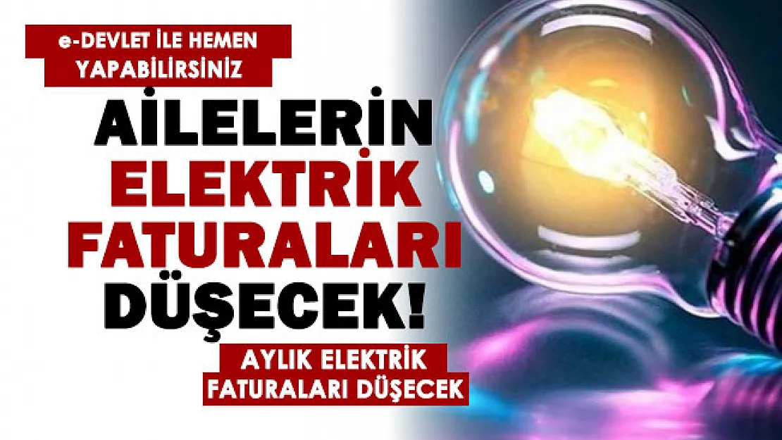 Aylık elektrik faturasını düşürmek isteyen vatandaşlara sevindiren haber! e-Devlet üzerinden yapabilirsiniz