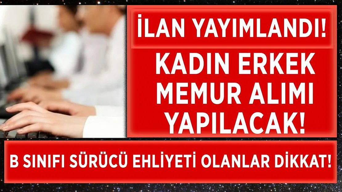 B sınıfı sürücü ehliyeti olan kadın erkek memur alımı yapılacak!