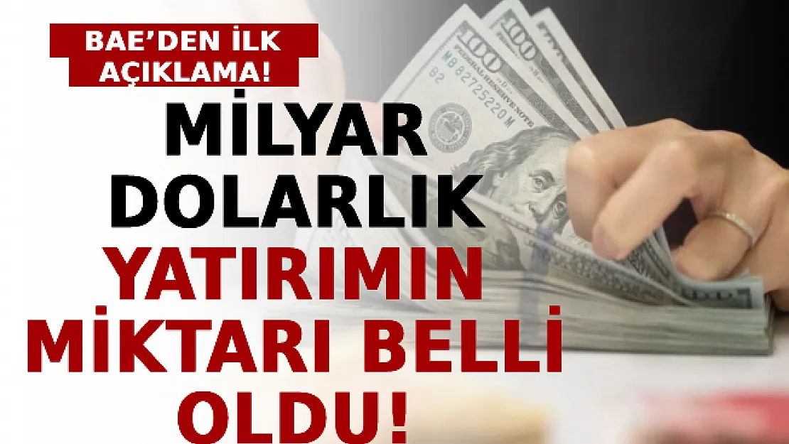 BAE'den İlk Açıklama: Milyar Dolarlık Yatırımın Miktarı Belli Oldu!