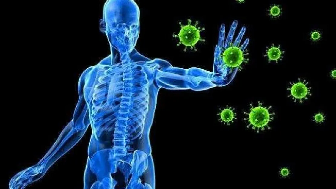 Bağışıklık sistemi nasıl güçlenir? Bağışıklık sistemini güçlendiren gıdalar..